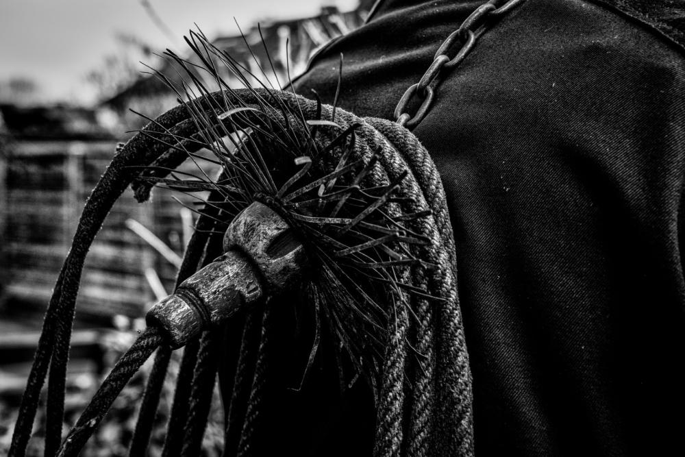 Ramonage à Ligugé